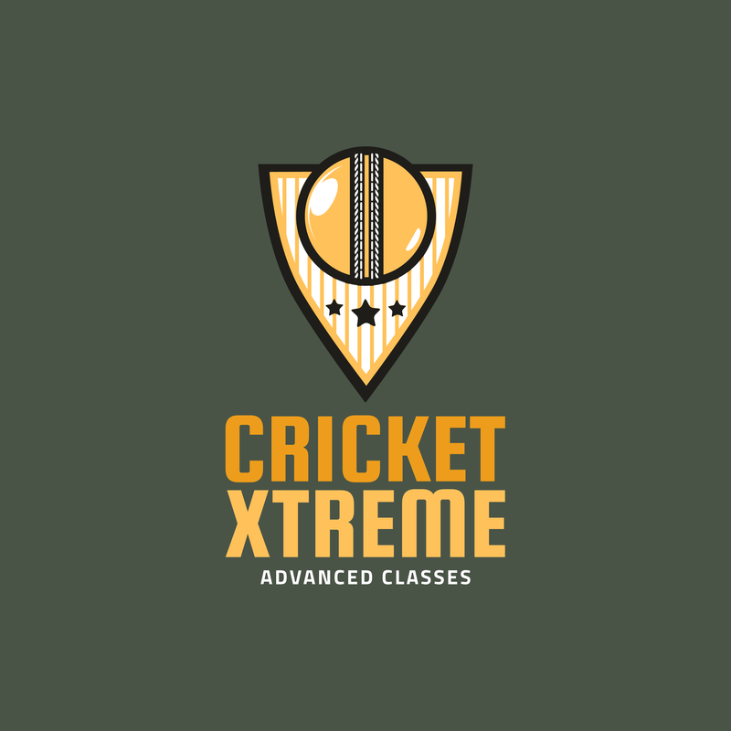 Make the Perfect Cricket Logo for Your Team Placeit