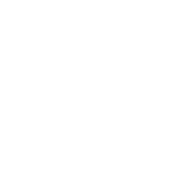 Download Icon 4